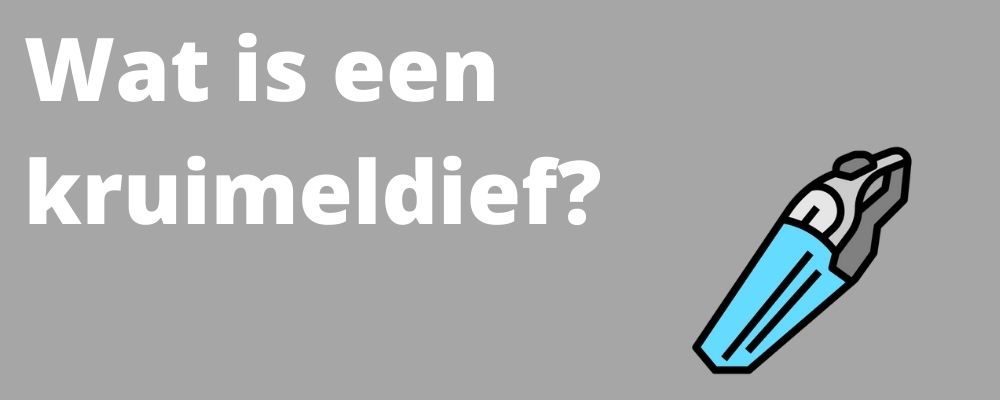 wat is een kruimeldief