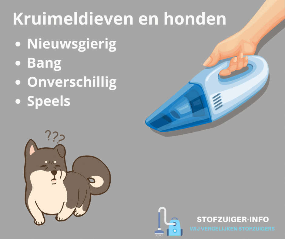 Honden en kruimeldieven
